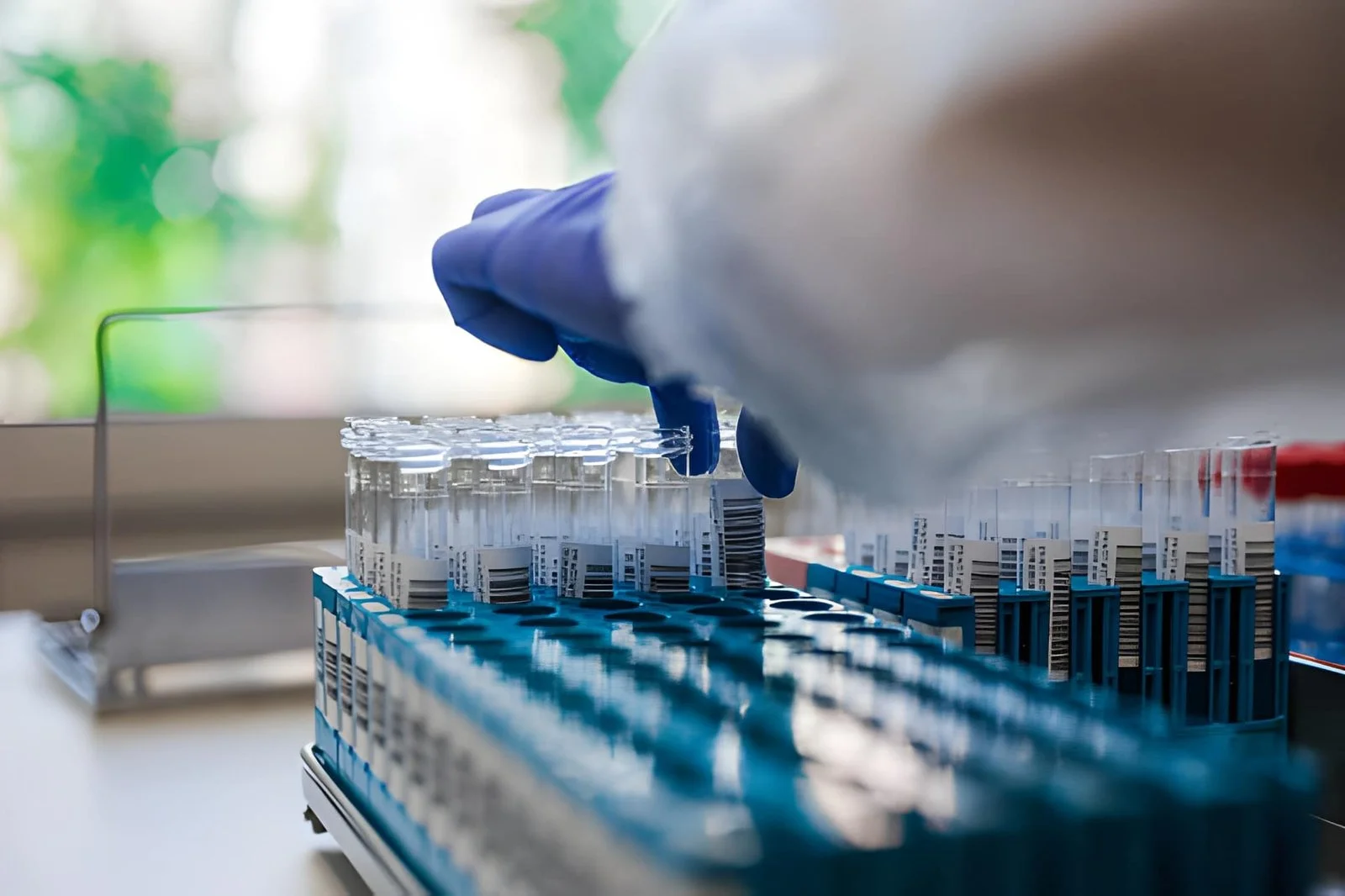 ApoB, hs-CRP, and Fasting Insulin: Three Biomarkers Worth Understanding After 40